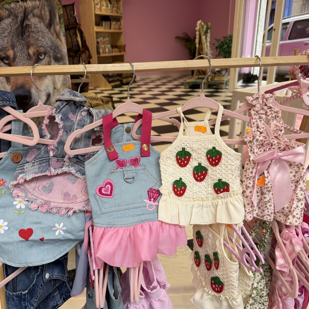 Percha de bambú con ropa para perro: petos vaqueros, tops y vestidos